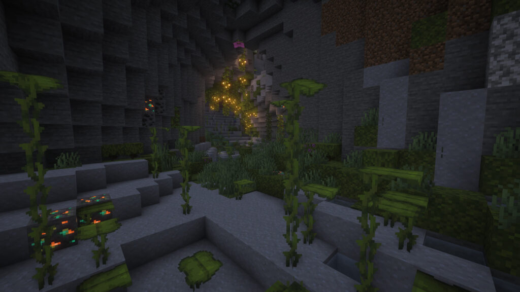 Minecraft Seeds